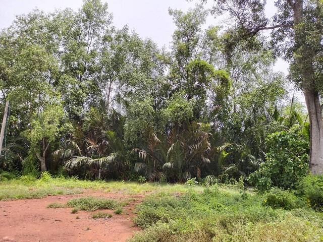 ���Թ ˹�ҵԴ���