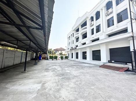 �Ҥ�þҳԪ�� ����������