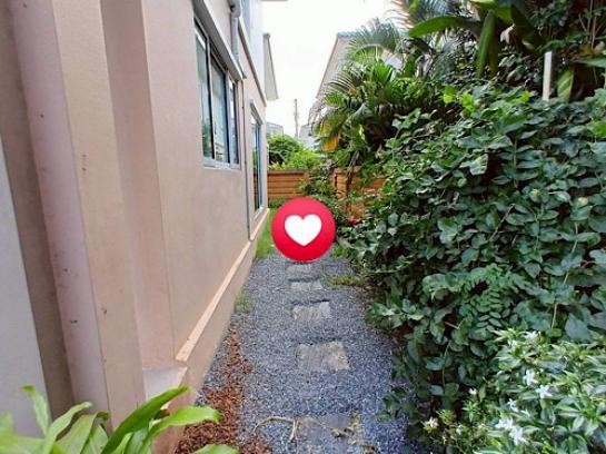 ��ҹ�ҧ��ǹ����Ѫ �ҧ����