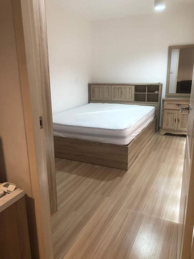 ¤Í¹â´ Paragon ¤Í¹â´ Paragon