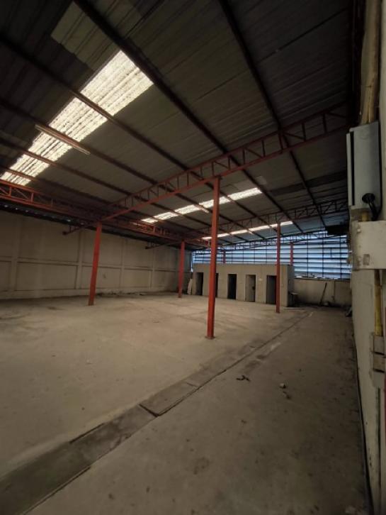 ⡴ѧ������ ��ͧ����ҡ�ا෾