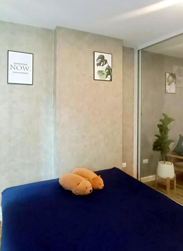 �͹������� �͹���ͧ