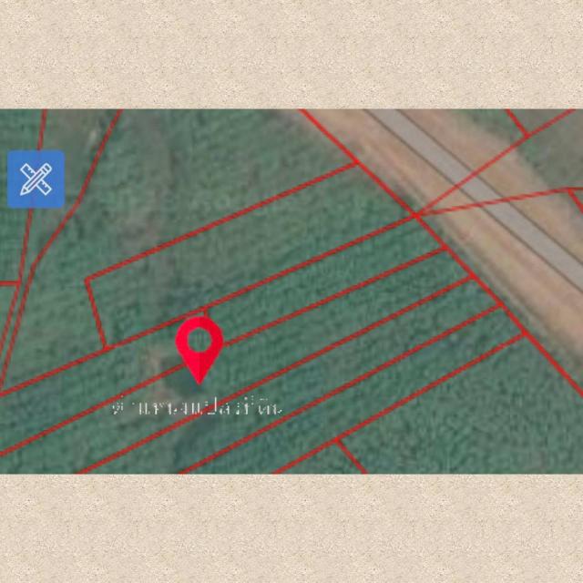 ขายที่ดิน เมือง 14 ไร่ ขายที่ดิน เมือง 14 ไร่