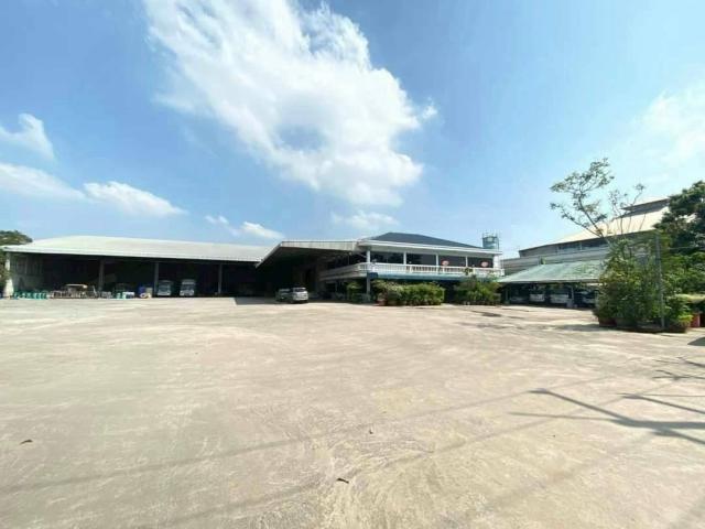 ⡴ѧ ���ԧ���