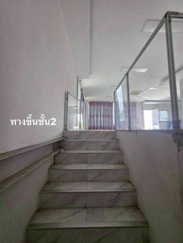 ���⡴ѧ ���١�һ����ҹ�