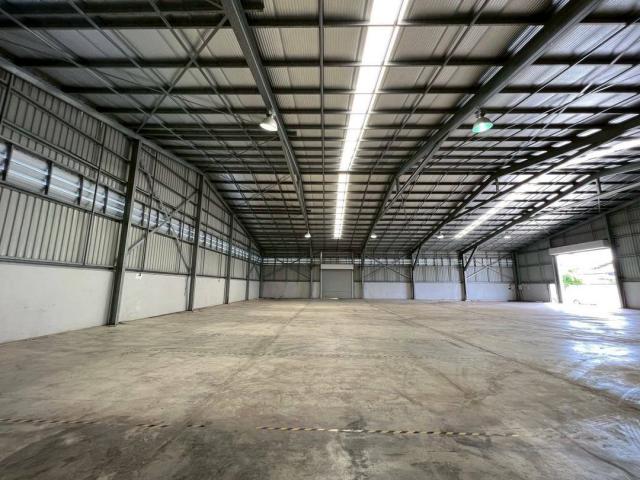 ⡴ѧ������ ������