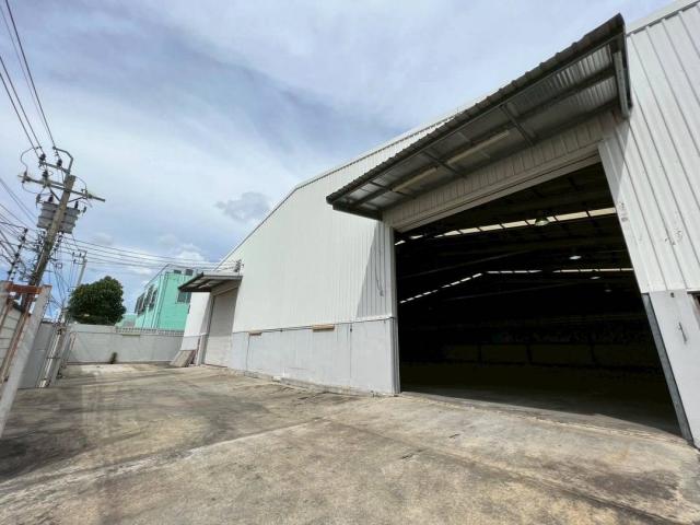 ⡴ѧ������ ������