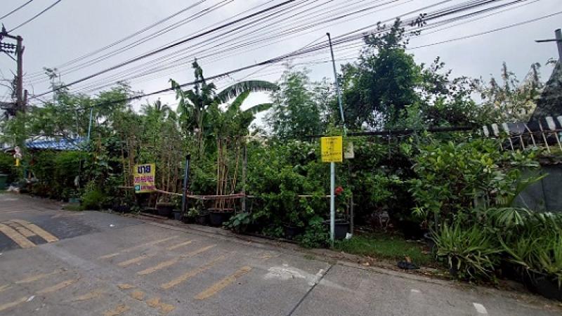 ��·��Թ �ѹ�����