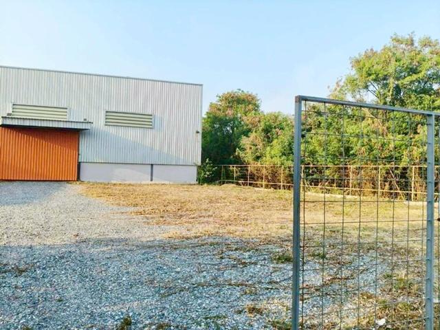 ⡴ѧ ����Ѳ��