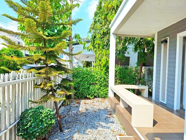 ��ҹ���������ú �ź���