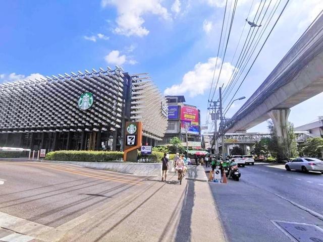 �Ҥ�þҳԪ����⢹�