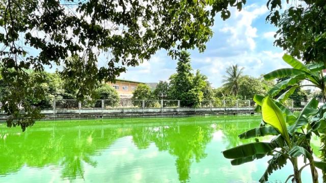 ����ӹѡ�ҹ �ҧࢹ