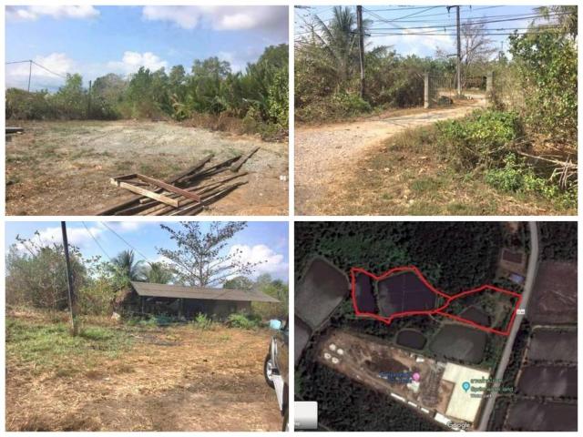 ��·��Թ ���ͧ�ѹ����ըѹ�����