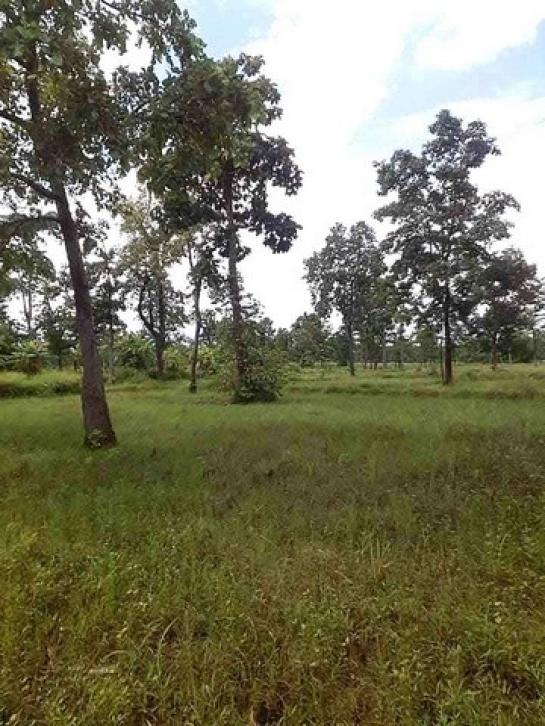 ���Թ 42 ���