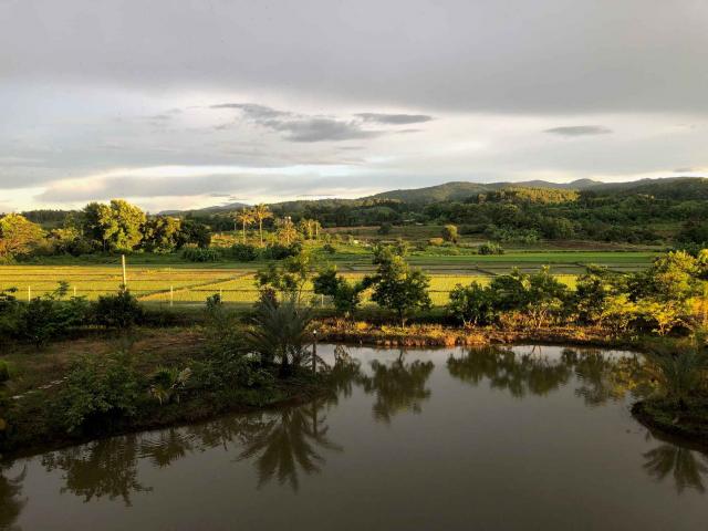 ��ҹ��§���� 1 ��ͧ�͹