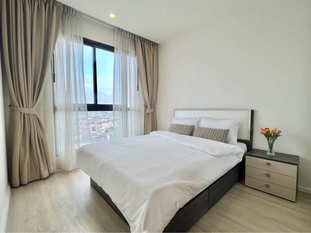 �͹������� �Թᴧ��ا෾