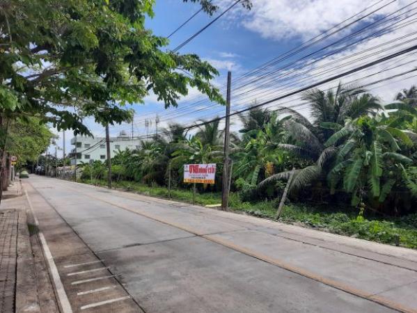 ��·��Թ �ҧ�