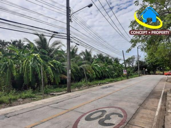 ��·��Թ �ҧᤡ�ا෾