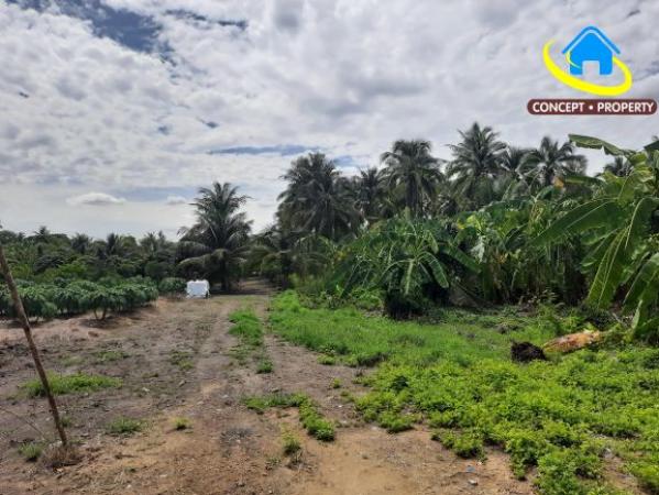 ��·��Թ �ҧᤡ�ا෾