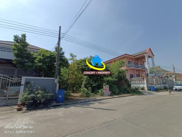 ���Թ���ҧ��ҹ�ѡ����� �Ҵ��кѧ