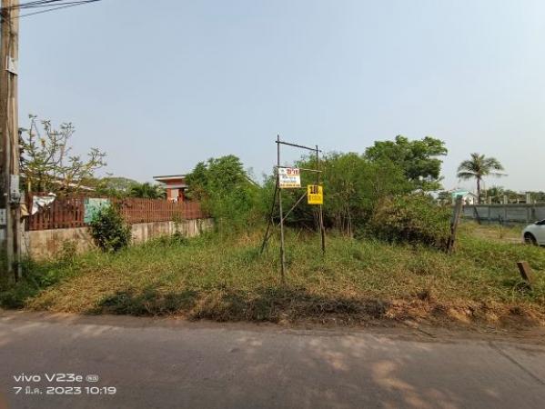 ��·��Թ ˹ͧ�͡��ا෾