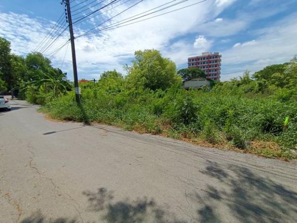 ��·��Թ �ѹ�����