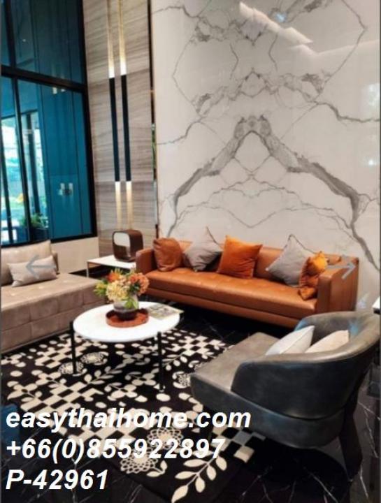 �͹�������ͧ ���¢�ҧ