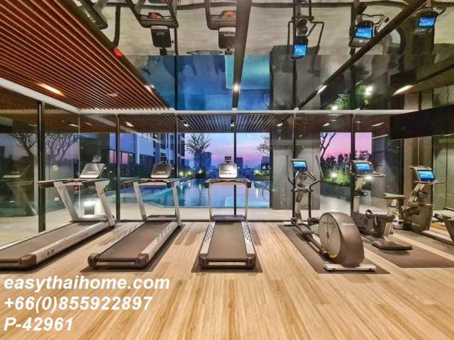 �͹���ö俿�� ���¢�ҧ