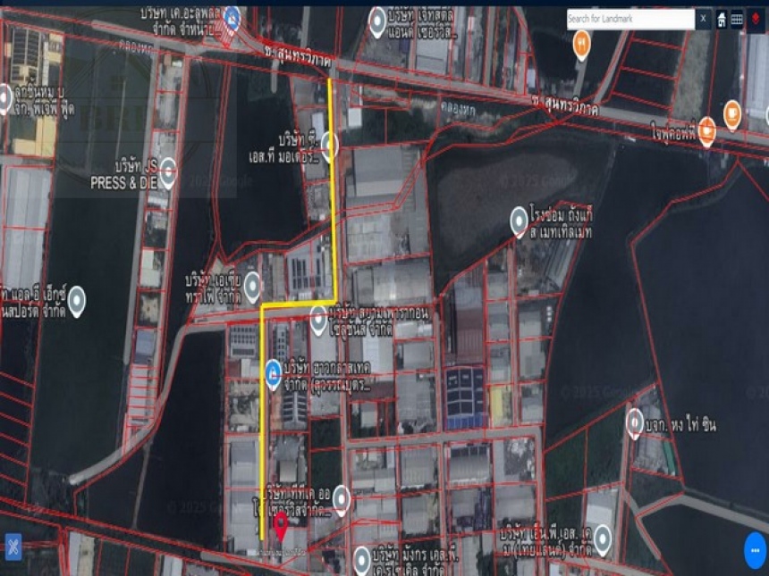 ����ç�ҹ �ҧ�����طû�ҡ��