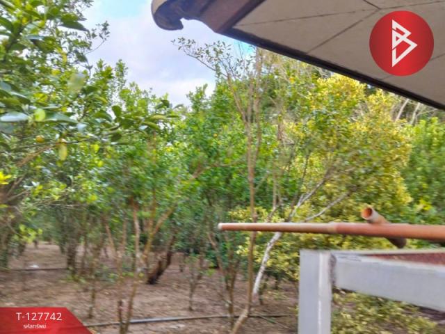 ��º�ҹ����� ��ا�ѹ�����