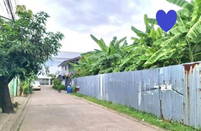 ���Թ ��ѡ���