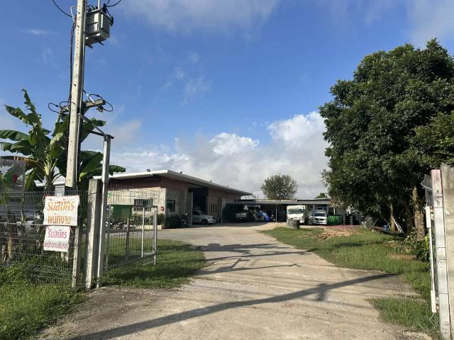 �ç�ҹ ����������ѹ