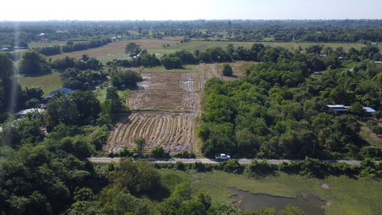 ���Թ ���ǹ ��ù�¡