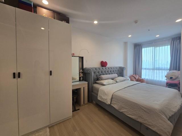 �͹� �����ҹ����