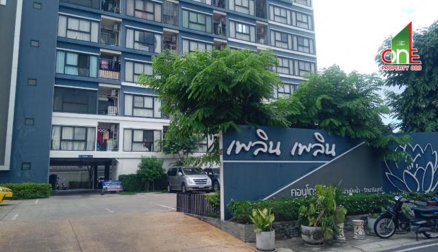 ��¤͹� ����������ǧ