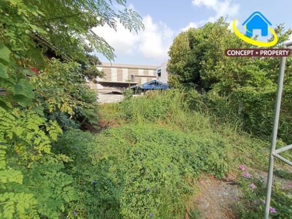 ��·��Թ ��л��ᴧ��طû�ҡ��