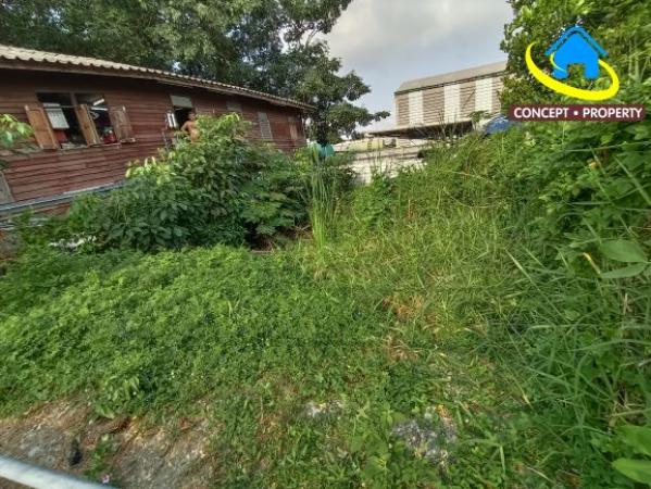 ��·��Թ ��л��ᴧ��طû�ҡ��