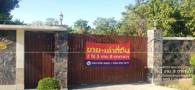 ���Թ�ǹ�ѡ �ҧ����