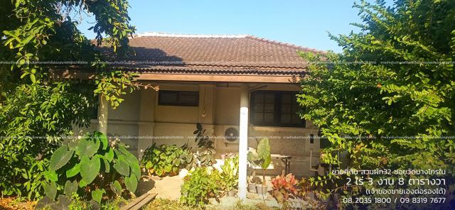 ���Թ����Ѻ���˹�� �ҧ����