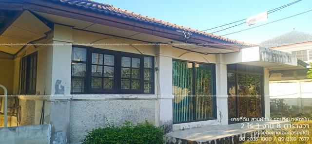 ���Թ������� �ҧ����