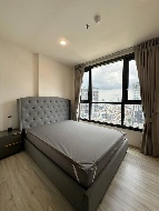 �����Ҥ͹� ���¢�ҧ