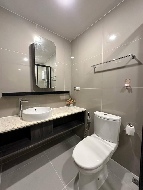 �͹� 65 ���ҧ����