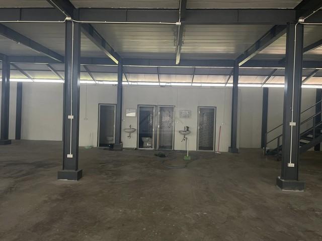 ⡴ѧ������ ������