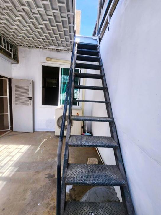 �Ҥ�þҳԪ�������� �Ҫ��ա�ا෾