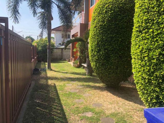 ��º�ҹ ���ͧ���ԧ��ҩ��ԧ���