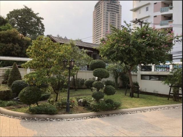 ��ҹ����������� �ҷá�ا෾