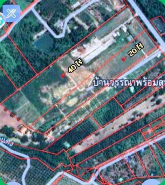 ����Ҫ� �� sopa