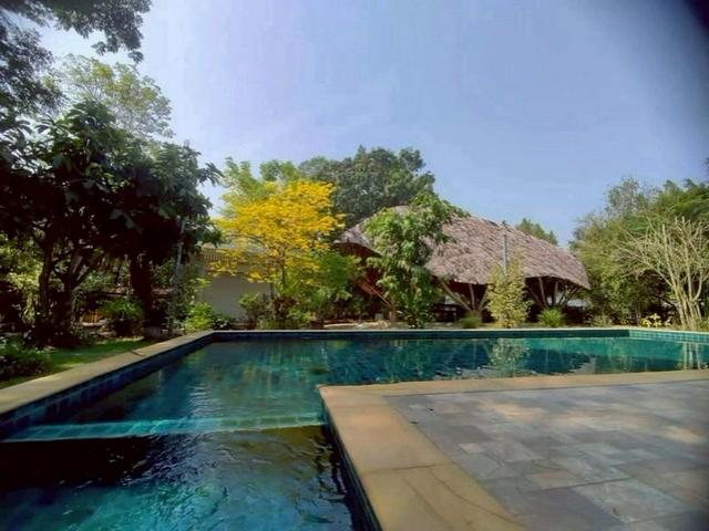 ��º�ҹ �ѹ��ҵͧ��§����