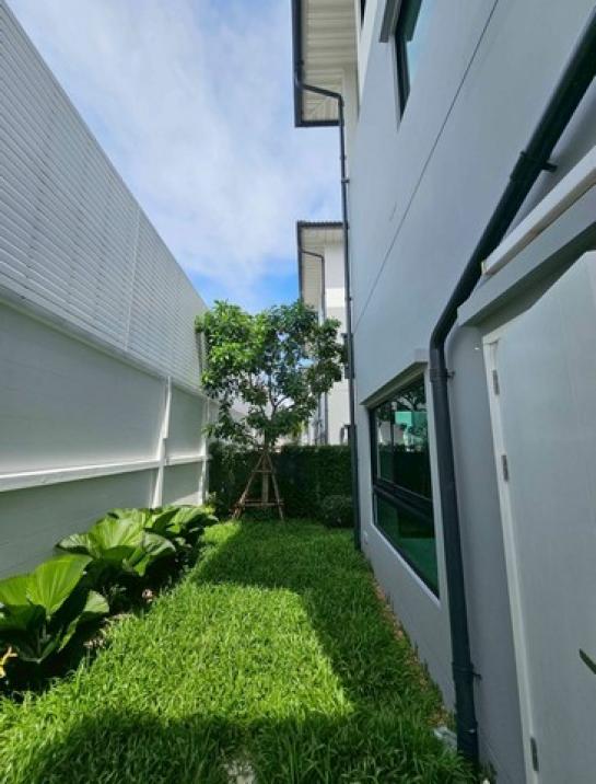 ��ҹ�ա��ͧǧ�ûԴ �ҧࢹ