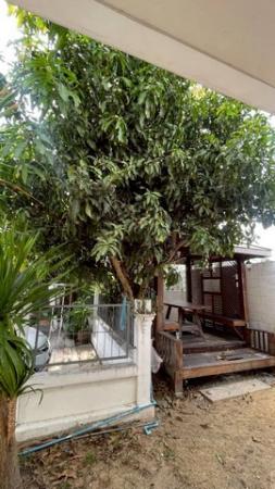 ��ҹ��ѧ��� ���ͧ�����ҹ�